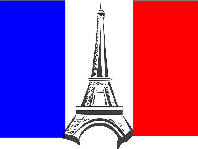 french-flag-1